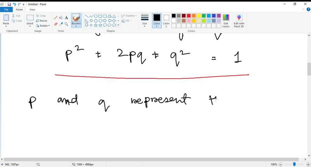 SOLVED: In the Hardy-Weinberg equation, what does 2pq represent? The ...