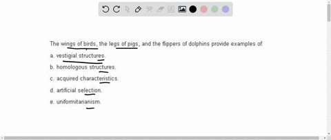 the-wings-of-birds-the-legs-of-pigs-and-the-flippers-of-whales-provide-an-example-of-a-vestigial-str-17725
