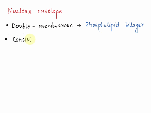 nuclear-envelope-is-a-derivative-of-a-membrane-of-golgi-complex-b-microtubules-c-rough-endoplasmic-reticulum-d-smooth-endoplasmic-reticulum-45891