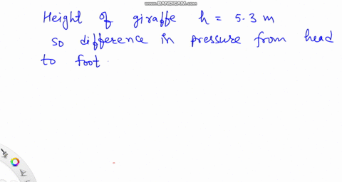 giraffes-are-a-wonder-of-cardiovascular-engineering-part-a-calculate-the-difference-in-pressure-in-atmospheres-that-the-blood-vessels-in-giraffes-head-must-accommodate-as-the-head-is-lowered-44827