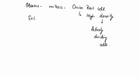 in-the-mitosis-of-onion-root-experiment-why-does-the-onion-root-have-to-be-crushed-into-smaller-pieces-89513