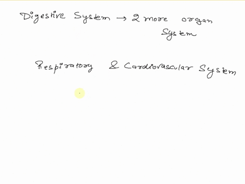 digestion-need-the-help-of-two-more-systems-in-the-body-to-provide-energy-from-food-which-are-these-systems-and-how-do-they-help-16272