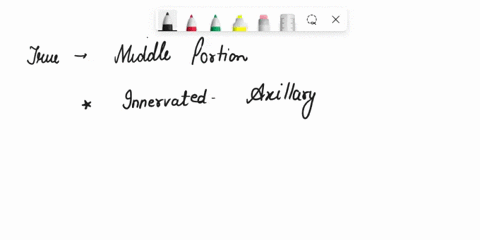 which-of-the-following-statements-is-true-regarding-the-middle-portion-of-the-muscle-pictured-highlighted-in-blue-and-specified-by-the-arrow-ait-is-innervated-by-the-axillary-nerve-bit-abduc-32532