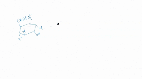 what-type-of-enzyme-catalyzes-that-reaction-shown-below-hoch-oh-clucuz-att-highly-cenen-nttabk-adp-o-foch-oh-oh-chco-ephorphate-select-one-or-more-kinase-b-iyase-oxidoreductase-d-isomerase-e-02456