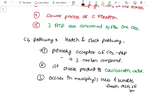 compare-c4-and-c3-pathways-of-co2-fixation-during-photosynthesis-give-well-labelled-schematic-sketch-of-c4-pathway-23274