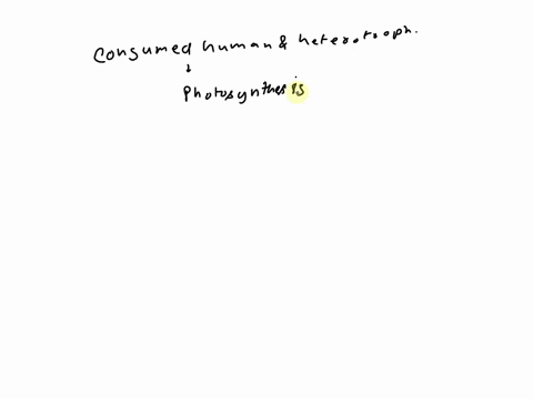 photosynthesis-is-used-to-produce-food-for-plants-plants-are-called-autotrophs-because-they-produce-their-own-food-animals-are-heterotrophs-meaning-they-eat-their-food-what-do-plants-produce-78942