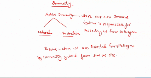 explain-the-difference-between-natural-and-artificial-immunity-2-explain-the-difference-between-active-and-passive-immunity-are-these-immediate-or-delayed-do-they-give-memory-3-give-examples-39912