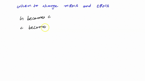 what-amino-acid-is-coded-for-by-each-of-the-following-codons-a-aag-b-guc-c-cgg-d-gca-51833