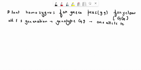 in-mendels-pea-plants-green-pea-color-g-is-recessive-to-yellow-pea-color-g-if-you-crossed-a-plant-homozygous-for-green-peas-and-a-plant-homozygous-for-yellow-peas-generation-what-would-be-th-14374
