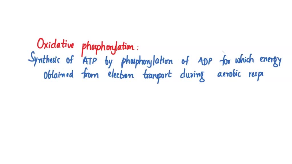 SOLVED Texts Which of the following statements is NOT true? That's
