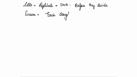 why-is-it-important-for-some-cells-to-replicate-more-often-than-others-78389
