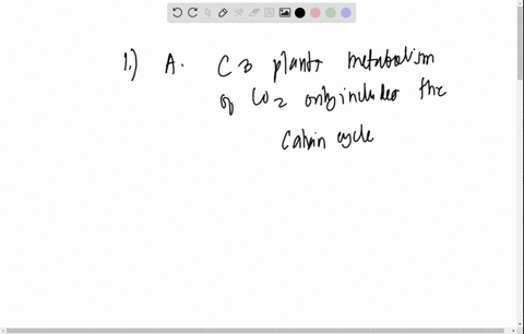 question-1-choose-the-correct-statement-answers-c3-plants-metabolism-of-co2-only-includes-the-calvin-cycle-c4-plant-metabolism-of-co2-does-not-include-the-calvin-cycle-c4-plants-catalyze-ini-92416
