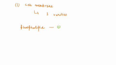 cell-membrane-bilayers-consist-of-three-ypes-of-lipids-phospholipid-ofe-typ-of-membrne-lipid-has-o-varieties-which-consists-of-wo-fatty-cids-id-cithcr-4-polar-or-charged-gtoup-alliched-t0-gl-02724