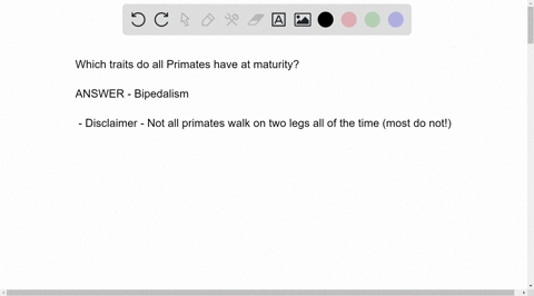 which-of-the-following-characteristics-are-shared-by-all-primates-at-maturity-bipedalism-apost-anal-tail-opposable-ffth-digits-thumbs-arboreal-trec-living-life-style-43164