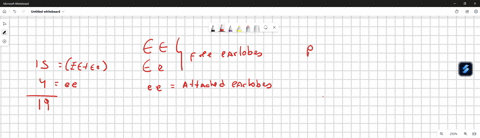 review-of-equations-if-p-is-the-frequency-of-the-dominant-allele-and-q-is-the-frequency-of-the-recessive-allele-hardy-weinberg-equation-the-genotype-frequency-equation-p2-2pq-q2-1-allele-fre-58432
