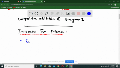 this-is-an-enzyme-question-substance-a-enzyme-1-substance-b-enzyme-2-substance-c-enzyme-3-substance-d-substance-a-is-the-initial-precursor-substance-enzyme-1-assists-in-the-conversion-of-sub-09035