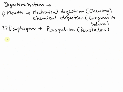 digestive-system-part-3-part-3-in-a-word-document-or-the-same-document-that-you-have-been-using-for-parts-1-and-2-please-take-the-overall-categories-mouth-small-intestine-esophagus-stomach-a-33907