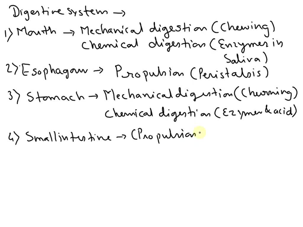 SOLVED Digestive System Part 3 Part 3 in a Word document (or the same