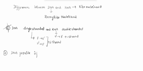 which-is-a-difference-between-dna-and-rna-a-dna-is-single-stranded-and-rna-is-double-stranded-b-dna-44913