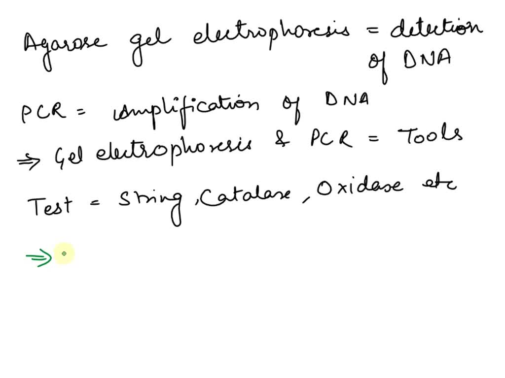 SOLVED: Gel electrophoresis and PCR are tools used to assist in the ...
