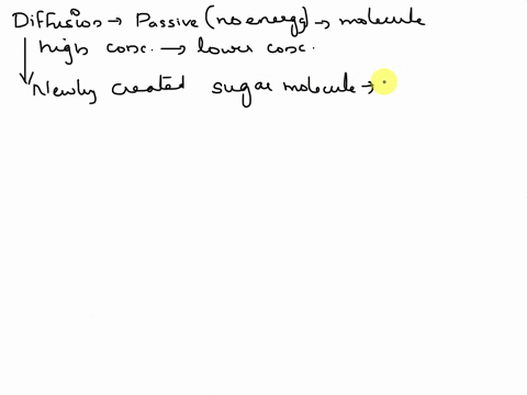 to-move-to-the-roots-of-a-plant-a-sugar-molecule-must-exit-the-cell-where-it-was-produced-and-enter-the-stream-of-plant-fluid-that-carries-sugar-to-other-parts-of-the-plant-known-as-phloem-a-86778