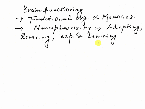 1-which-principle-of-functional-organization-of-the-vertebrate-brain-explains-the-concept-of-memories-a-the-expansion-of-the-forebrain-is-a-recorded-event-in-vertebrate-brain-evolution-b-bra-97785