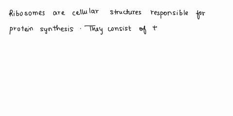 1_-describe-the-structure-and-function-of-ribosomes_-12_-describe-the-structure-and-function-of-the-golgi-apparatus_-13-what-are-lysosomes-what-is-their-function-14_-summarize-the-operation-50648