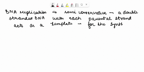 what-are-the-products-of-semiconservative-replication-for-a-double-stranded-dna-molecule-a-two-double-stranded-dna-molecules-each-consisting-of-one-parental-strand-and-one-daughter-strand-b-31495