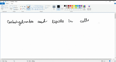 carbohydrates-and-lipids-in-cells-are-synthesized-primarily-in-the-a-smooth-er-b-lysosome-mitochondrion-d-rough-er-48544
