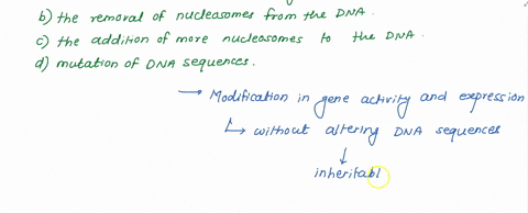 what-are-epigenetic-modifications-a-the-addition-of-reversible-changes-to-histone-proteins-and-dna-b-70072