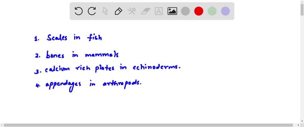 Which two of these characteristics are examples of endoskeletons ...