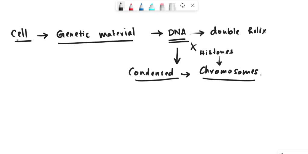 solved-dna-is-made-of-chains-of-four-smaller-molecules-called-select