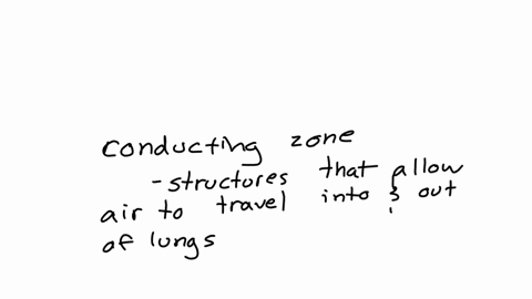 structures-involved-in-the-conducting-zone-arranged-in-correct-order-sequence