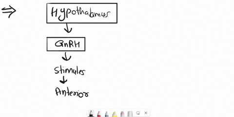read-the-paragraphs-below-and-match-the-numbered-blanks-with-the-appropriate-letter-blologcal-male-xkpga-the-hypothalamus-has-neurosecretory-neurons-that-produce-the-hormone-response-the-ant-77562