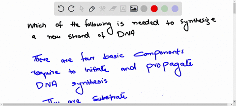 which-one-of-the-following-is-needed-to-synthesize-a-new-strand-of-dna-18985