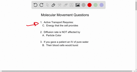 active-transport-is-a-way-for-molecules-to-move-across-the-plasma-membrane-when-active-asedsto-move-molecules-what-is-requicede-transport-is-concentration-gradient-b-very-small-molecules-ene-50568