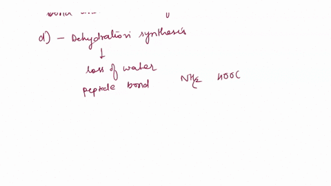 1-when-amino-acids-form-a-peptide-bond-and-water-is-formed-this-is-known-as-a-a-actually-water-is-not-formed-b-hydration-synthesis-c-hydrolysis-d-dehydration-synthesis-e-none-of-the-above-2-77783