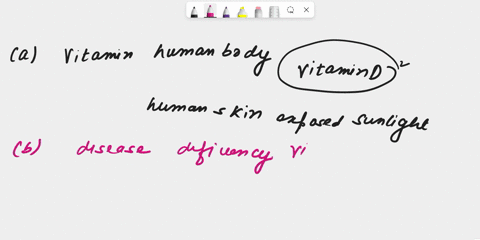 a-name-the-only-vitamin-which-can-be-synthesized-in-our-body-name-one-disease-that-is-caused-due-to-the-deficiency-of-this-vitaminb-state-two-functions-of-carbohydrates-54494