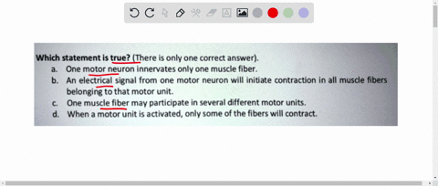 which-statement-is-true-there-is-only-one-correct-answer-one-motor-neuron-innervates-only-one-muscle-fiber-an-electrical-signal-from-one-motor-neuron-will-initiate-contraction-in-all-muscle-86166