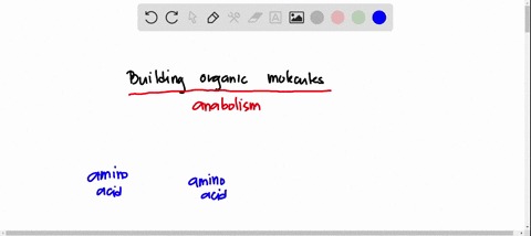 which-of-the-following-reactions-is-responsible-for-building-organic-molecules-from-monomers-derived-from-our-food-hydrolysis-dehydration-synthesis-degradation-reaction-or-redox-reaction-20582