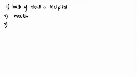 match-the-following-bones-of-the-skull-to-their-description-drag-the-terms-on-the-left-to-the-appropriate-blanks-on-the-right-parietal-forms-the-base-and-back-of-the-skulll-maxilla-anchors-t-82188