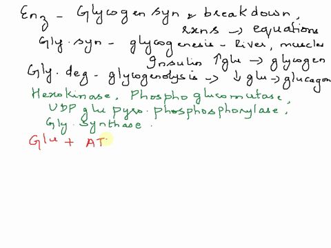 name-the-enzymes-required-for-glycogen-synthesis-and-the-balanced-chemical-reaction-catalyzed-by-each-enzyme-do-the-same-for-the-enzymes-involved-in-breakdown-of-glycogen-57338