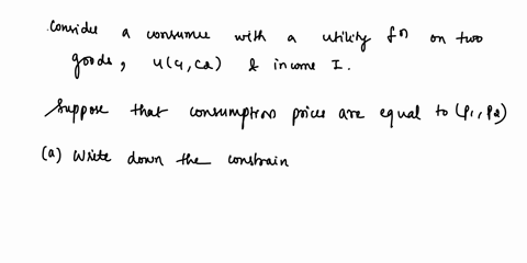 problem-ii-consumer-s-problem-25-points-consider-consue-with-utility-function-consumption-gvoas-u-c1-0-and-income-suppose-that-consumption-prices-are-equal-p1-p4-write-down-the-constrained-o-07345