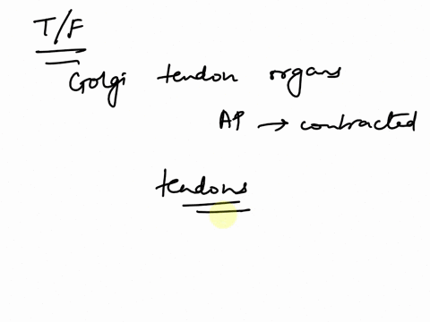 true-or-false-golgi-tendon-organs-help-initiate-action-potentials-when-a-muscle-is-contracted-74495