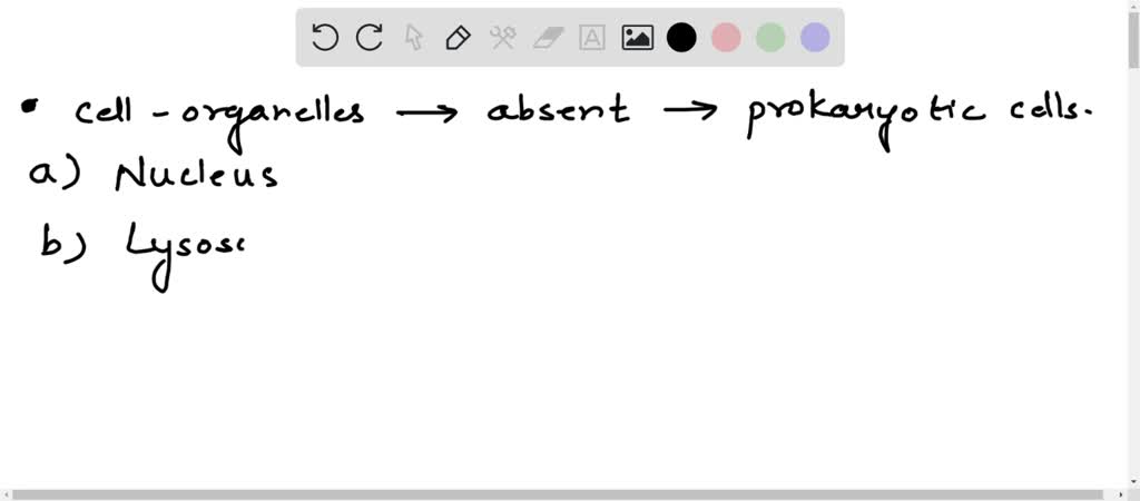 SOLVED: Mention the cell organelles absent in prokaryotic cells a
