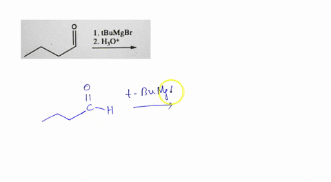draw-the-major-organic-product-of-the-following-reaction-u-tbumgbr-2-ho-95177