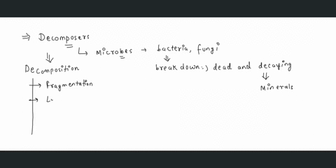 describe-how-decomposers-link-the-living-and-non-living-parts-of-an-ecosystem-91547