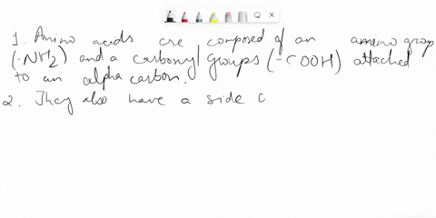 1-what-are-the-structural-characteristics-of-amino-acids-with-an-emphasis-on-essential-amino-acids-2-write-the-properties-of-amino-acids-zwitterion-pka-pkb-amphoteric-character-isoelectric-p-84928