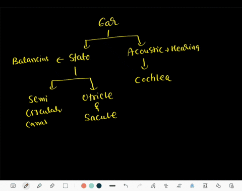what-do-the-receptor-cells-for-hearing-static-equilibrium-and-dynamic-equilibrium-have-in-common-08806