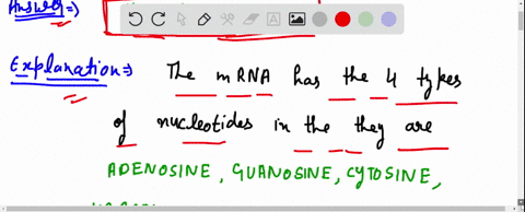 through-transcription-the-_______-code-in-mrna-is-translated-into-the-_______-code-for-amino-acids-6-letter-64-letter-3-letter-26-letter-5-letter-10-letter-4-letter-20-letter-14285